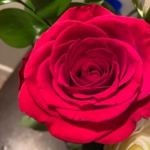 Meet your Posher, Crystal